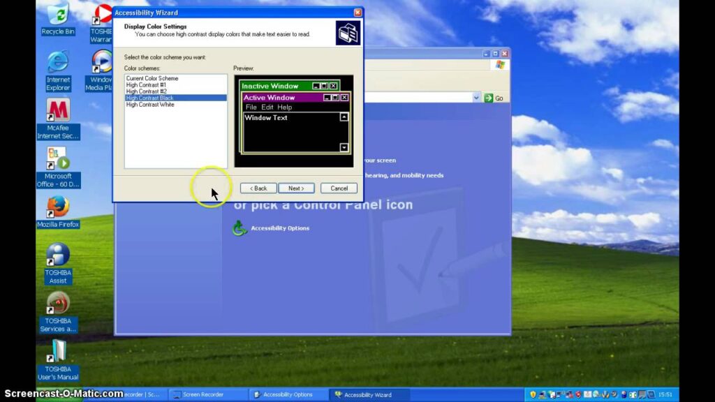 Windows XP desktop with the Control Panel and Accessibility Wizard windows open on it